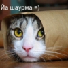 Аватар користувача