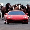 Аватар користувача