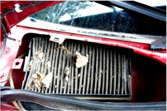 pnesmotrja_na_samie_sovremennie_tehnologii_primenjaemie_v_avtomobilnih_motorah_nine_ih_mozhno_elemen.jpg