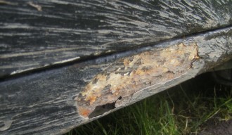 PICT0580.JPG