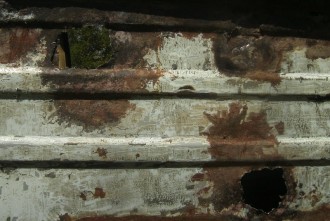 PICT0603.JPG