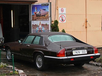 _MG_2175.JPG