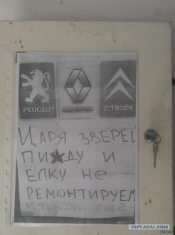 1408163096_270222158.jpg