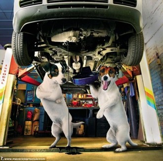 funny_dogs_at_a_repair_shop_06.jpg