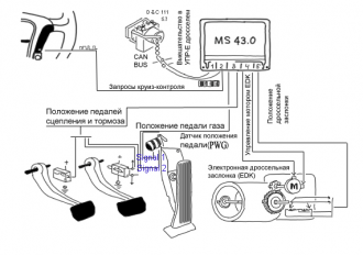 scandiagram.png