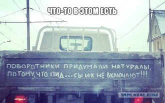 4501011.jpg