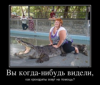 9699145_vyi-kogda-nibud-videli.jpg