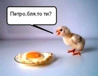 IMG_20150108_152547_0.jpg