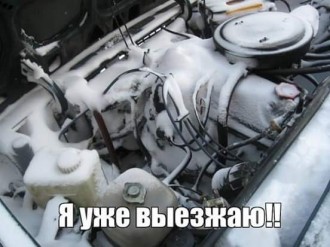 IMG_329265716594236.jpeg