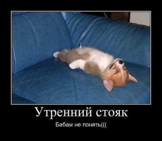 image-535fcf1acc21731f8cfa5cd3cd3e3e0a6d98317b116e73c6389529818df59fe4-V.jpg