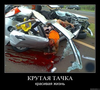 ulgyzqmiwpdg.jpg