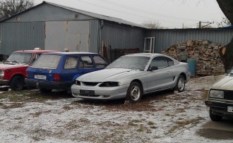 IMG_20141126_120823.jpg