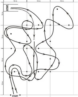 slalom5_min.jpg