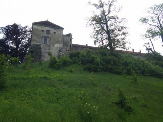 20150531_1651011.jpg