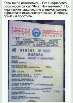 _O1SKq8jVSY.jpg