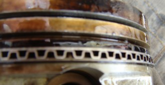 DSC02231.JPG