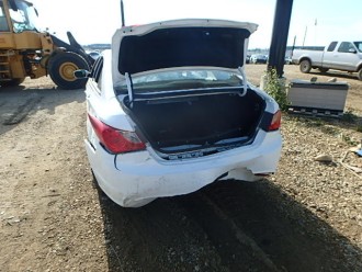 Sonata 2012.JPG