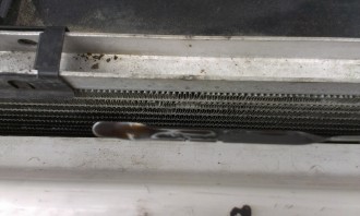IMAG0722.jpg