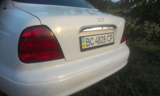 IMAG0397.jpg