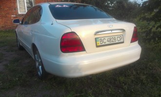 IMAG0398.jpg