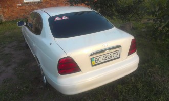 IMAG0399.jpg