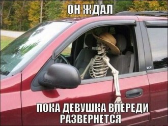 чекав.jpg