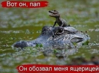 image-10.jpeg