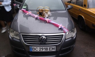 IMAG0138.jpg