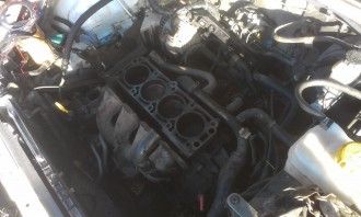 IMAG0543.jpg