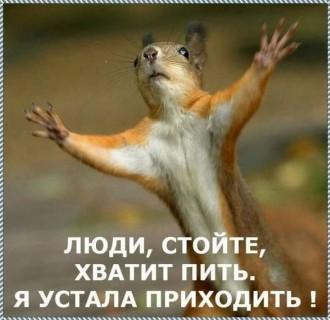 бєлочка.jpg