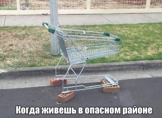 8303571.jpg