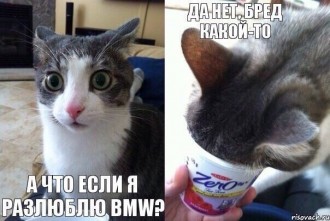 kit.jpg