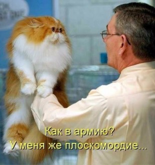 image (1).jpg