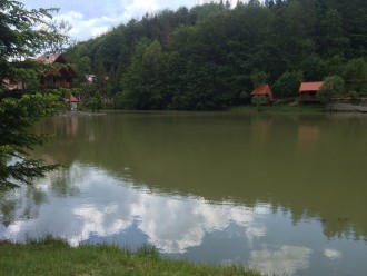 IMG_0562.JPG