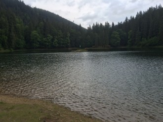 IMG_0600.JPG