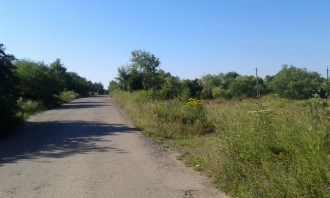 20150801_092404.jpg