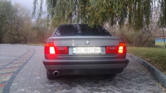 DSC_1178.JPG