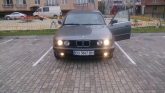 DSC_1175.JPG