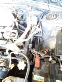 rps20170215_1201501.jpg