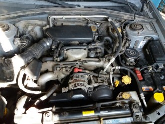 rps20170215_115947.jpg