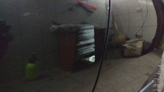 IMG_20170309_115317298-min.jpg