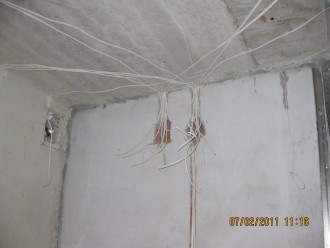 IMG_4972.JPG