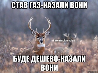 risovach.ru.jpg