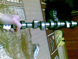 16012009(006).jpg