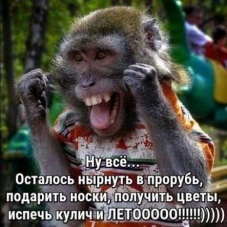 нирнуть.jpg