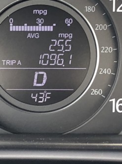 2222.jpg