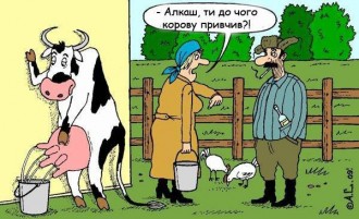 привчив.jpg