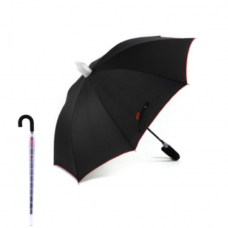 1321719935_w640_h640_zont-remax-umbrella.jpg.png