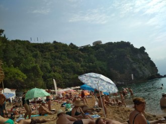 IMG_20190906_100759.jpg