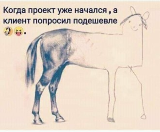 FB_IMG_1554504493573.jpg